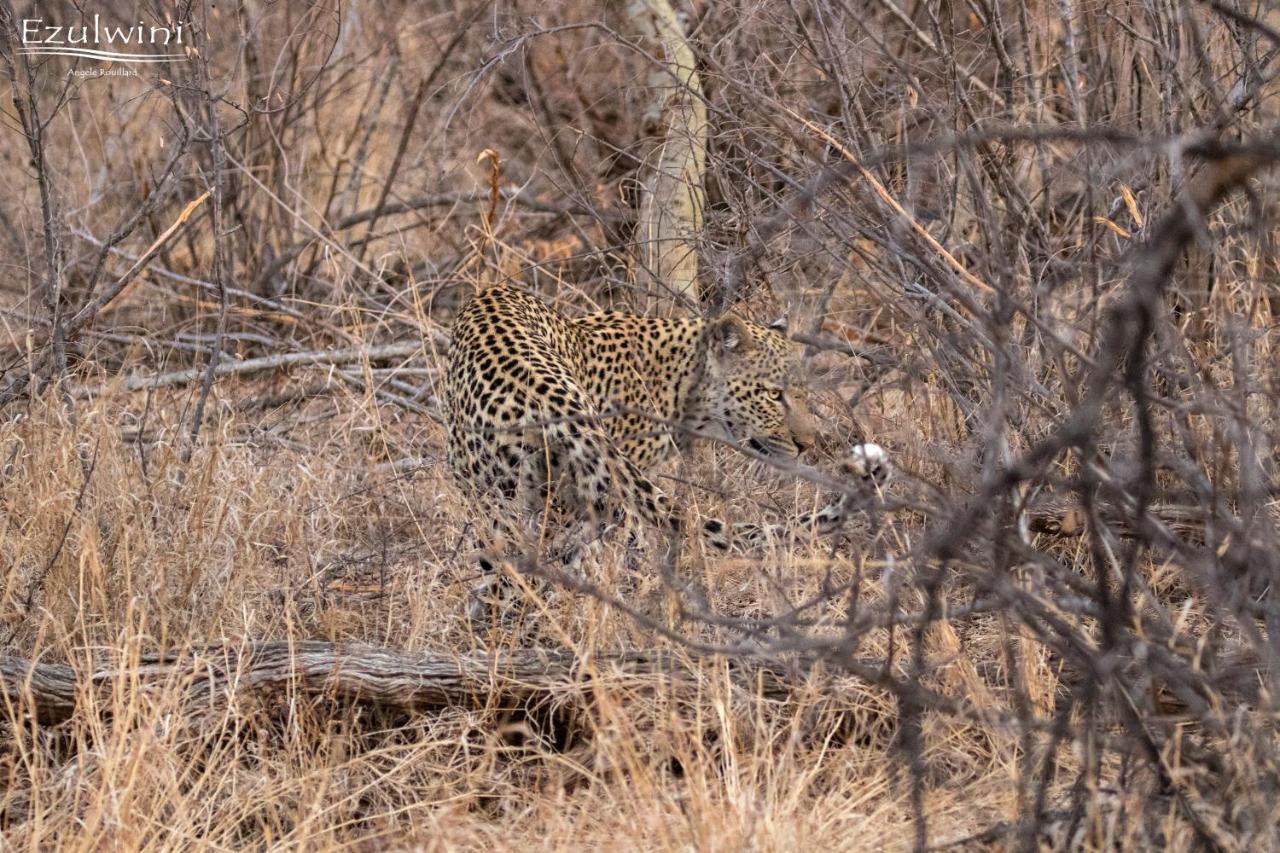 Ezulwini Game Lodges Mica Exterior foto