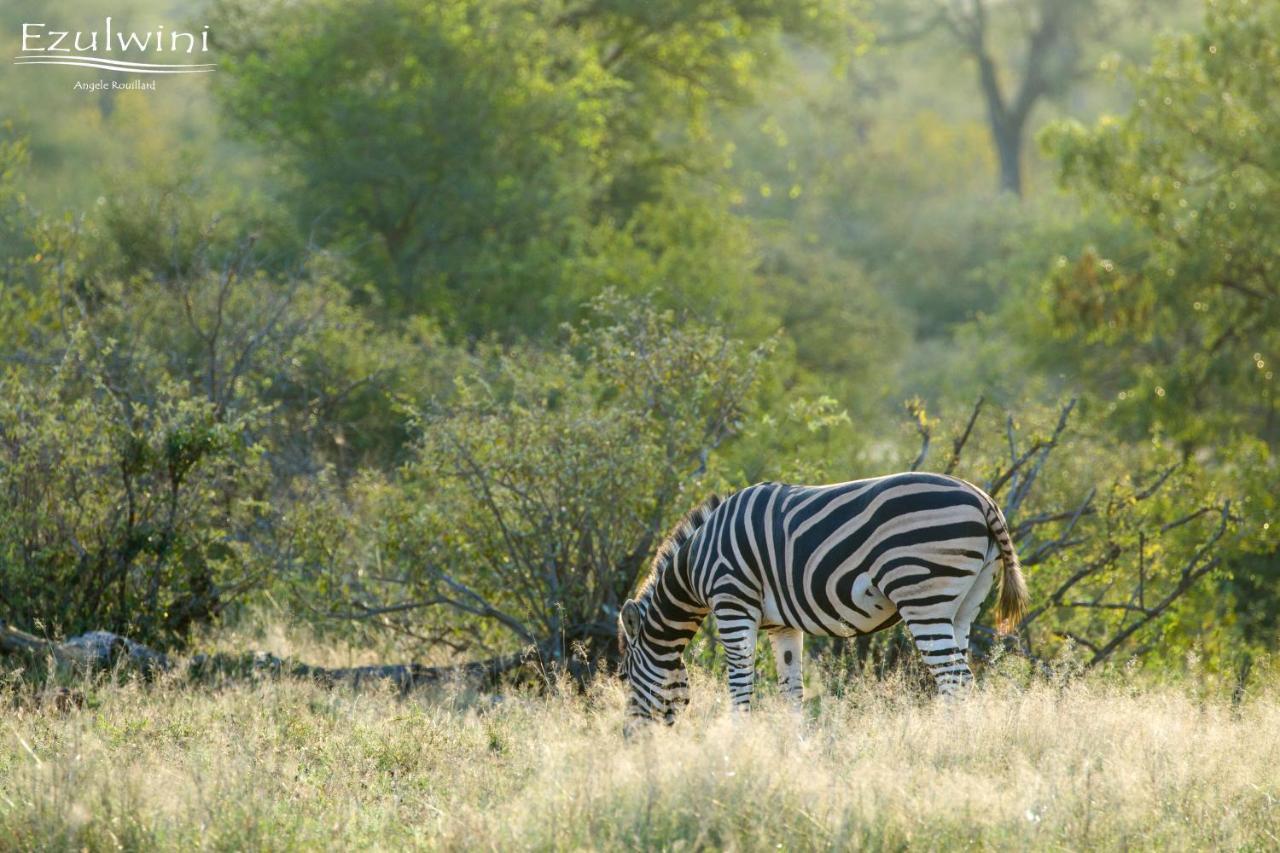 Ezulwini Game Lodges Mica Exterior foto